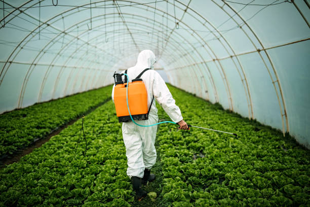 Best Best Pest Control Companies  in Halawa, HI