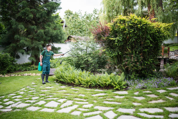 Best Best Pest Control Companies  in Halawa, HI